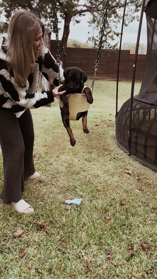 Post 9 by Taylormadu on TikTok (video)