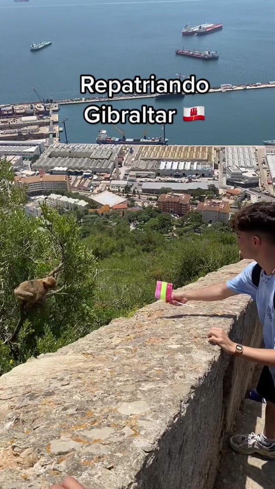 Post 10 by Alejandro Olivero on TikTok (video)