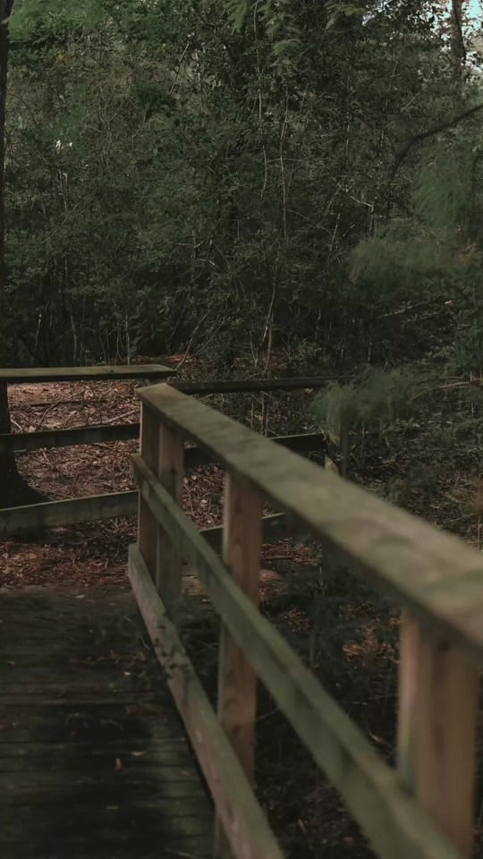 Post 1 by Jerry Flowers Jr on TikTok (video)