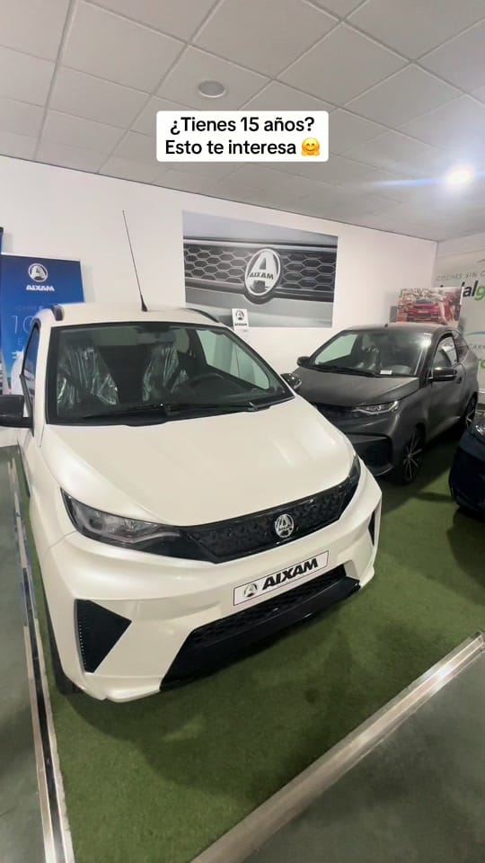 Post 8 by Andalucia Sin Carnet 🚘 on TikTok (video)