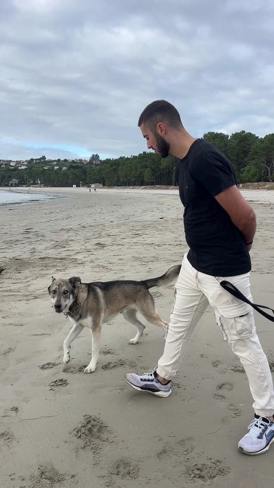 Post 6 by Paula nieto ❤ on TikTok (video)
