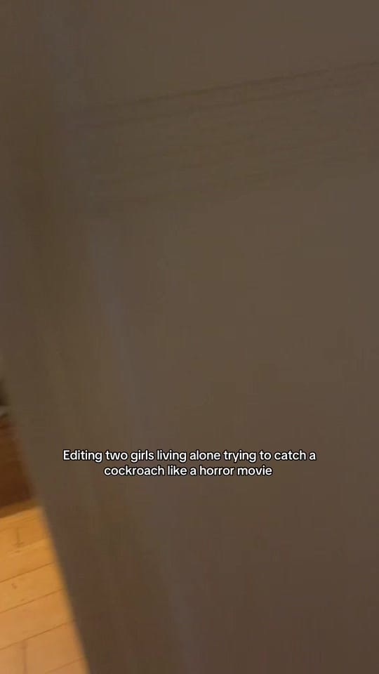 Post 2 by Jasmine Love on TikTok (video)