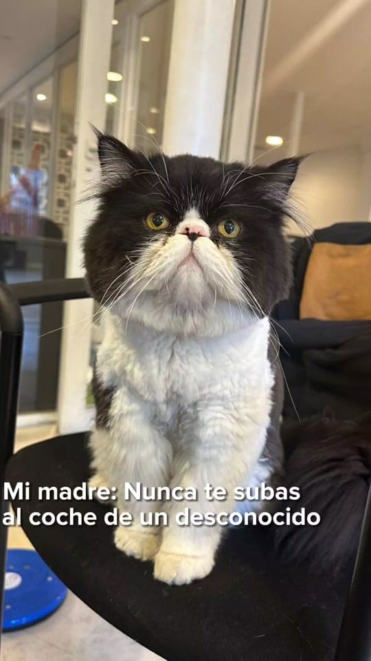 Post 5 by Lavra on TikTok (video)