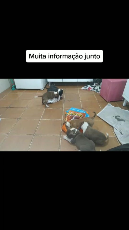 Post 9 by Amora.Camaro on TikTok (video)