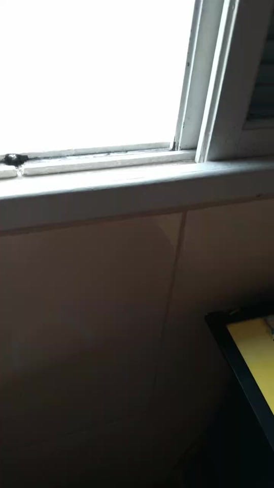 Post 8 by Amora.Camaro on TikTok (video)