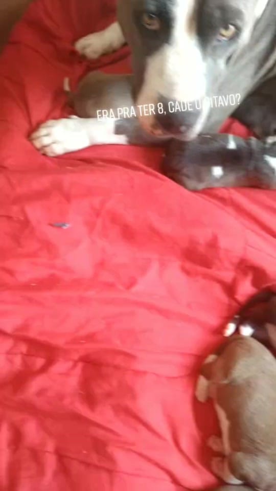 Post 10 by Amora.Camaro on TikTok (video)