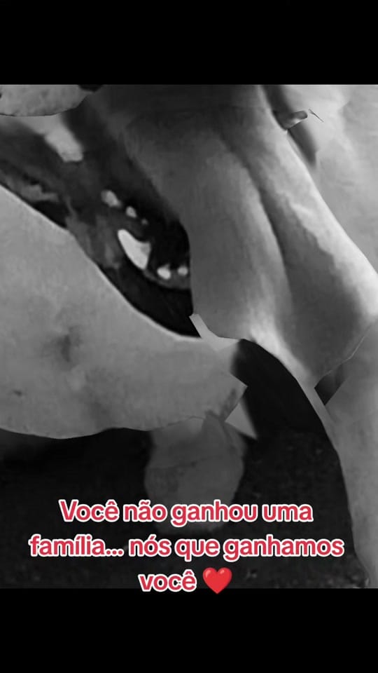 Post 2 by Amora.Camaro on TikTok (video)