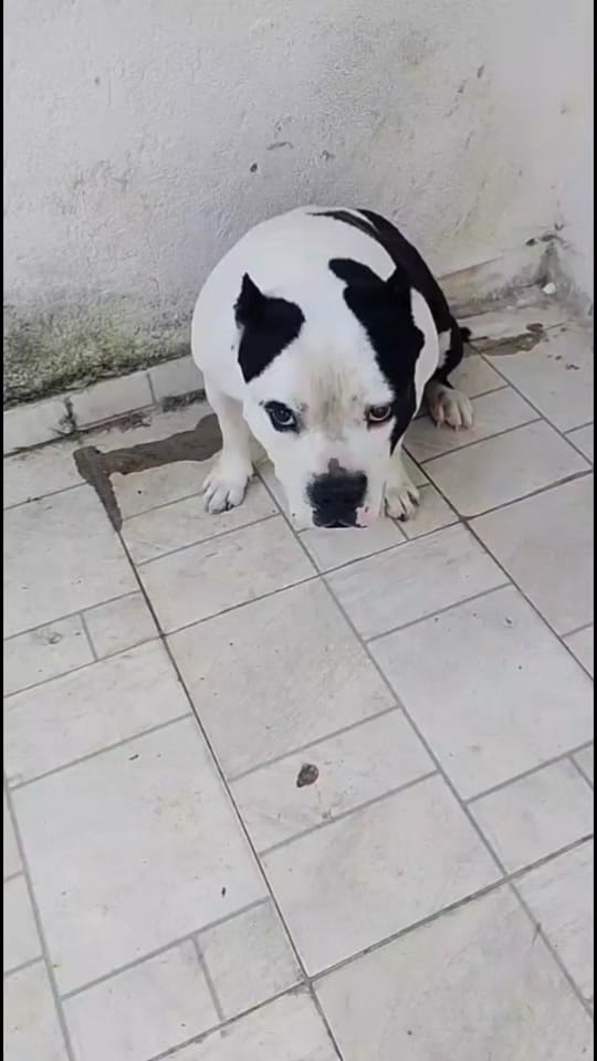 Post 3 by Amora.Camaro on TikTok (video)