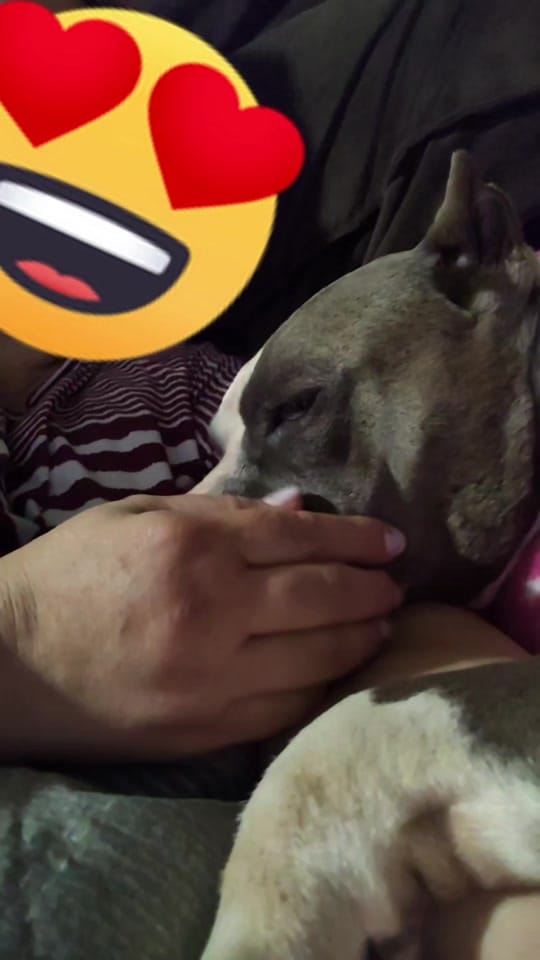Post 7 by Amora.Camaro on TikTok (video)