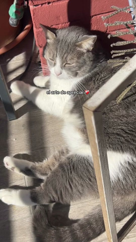Post 10 by lu⚡️ on TikTok (video)