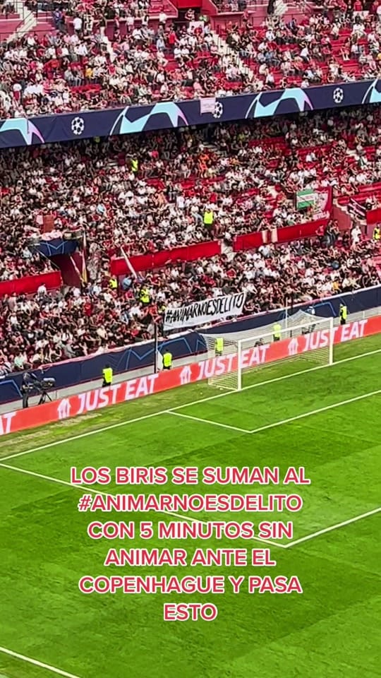 Post 10 by Daniel Saldaña on TikTok (video)