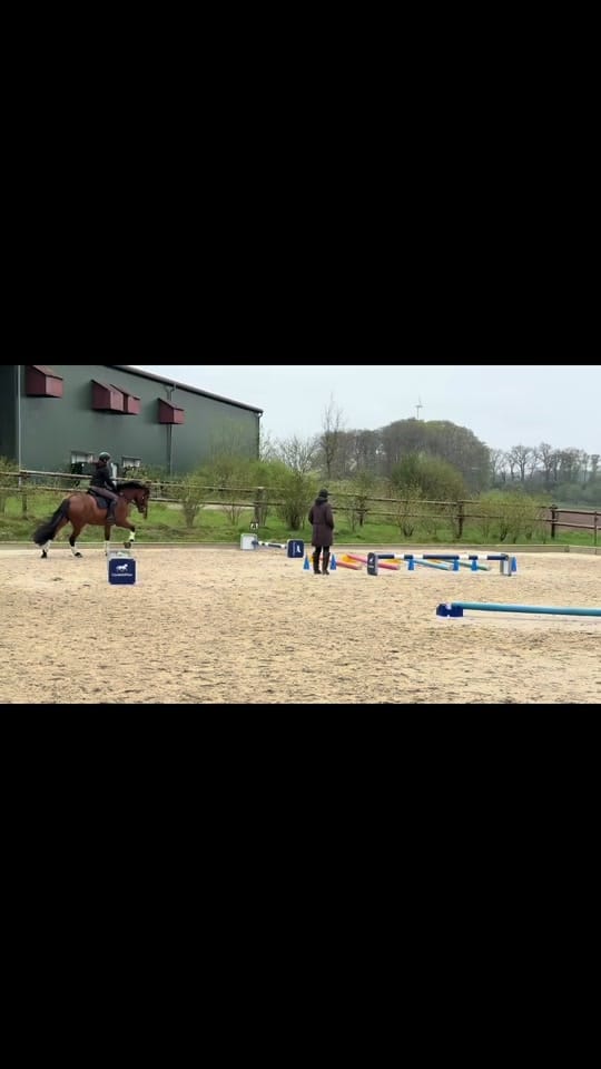 Post 3 by Franziska // UGC on TikTok (video)