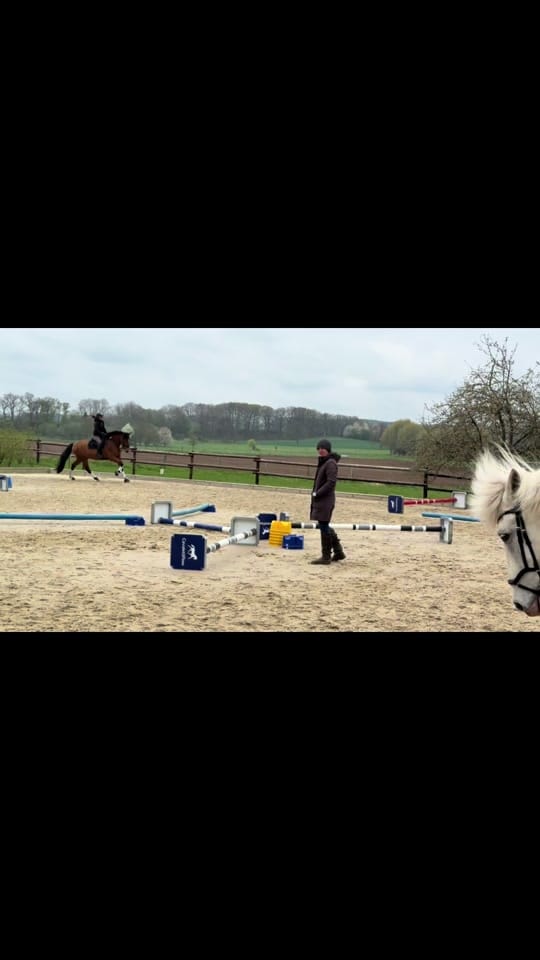 Post 5 by Franziska // UGC on TikTok (video)