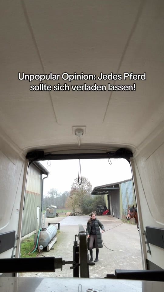 Post 4 by Franziska // UGC on TikTok (video)