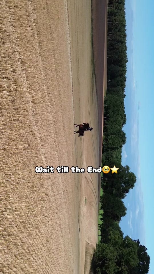 Post 10 by Franziska // UGC on TikTok (video)