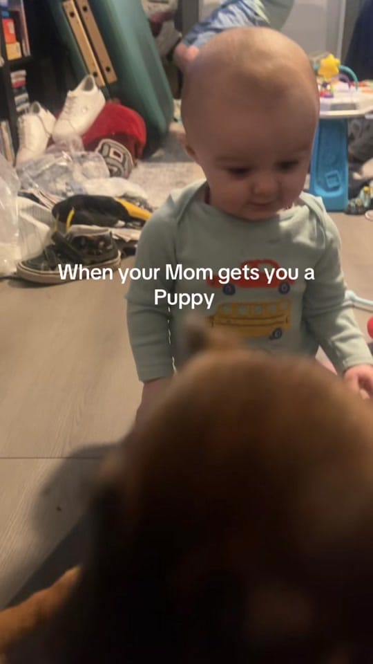 Post 4 by JennaaNicolee on TikTok (video)