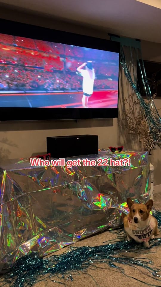 Post 9 by ThoseTempletonCorgis on TikTok (video)