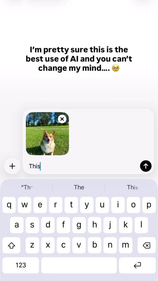 Post 1 by ThoseTempletonCorgis on TikTok (video)