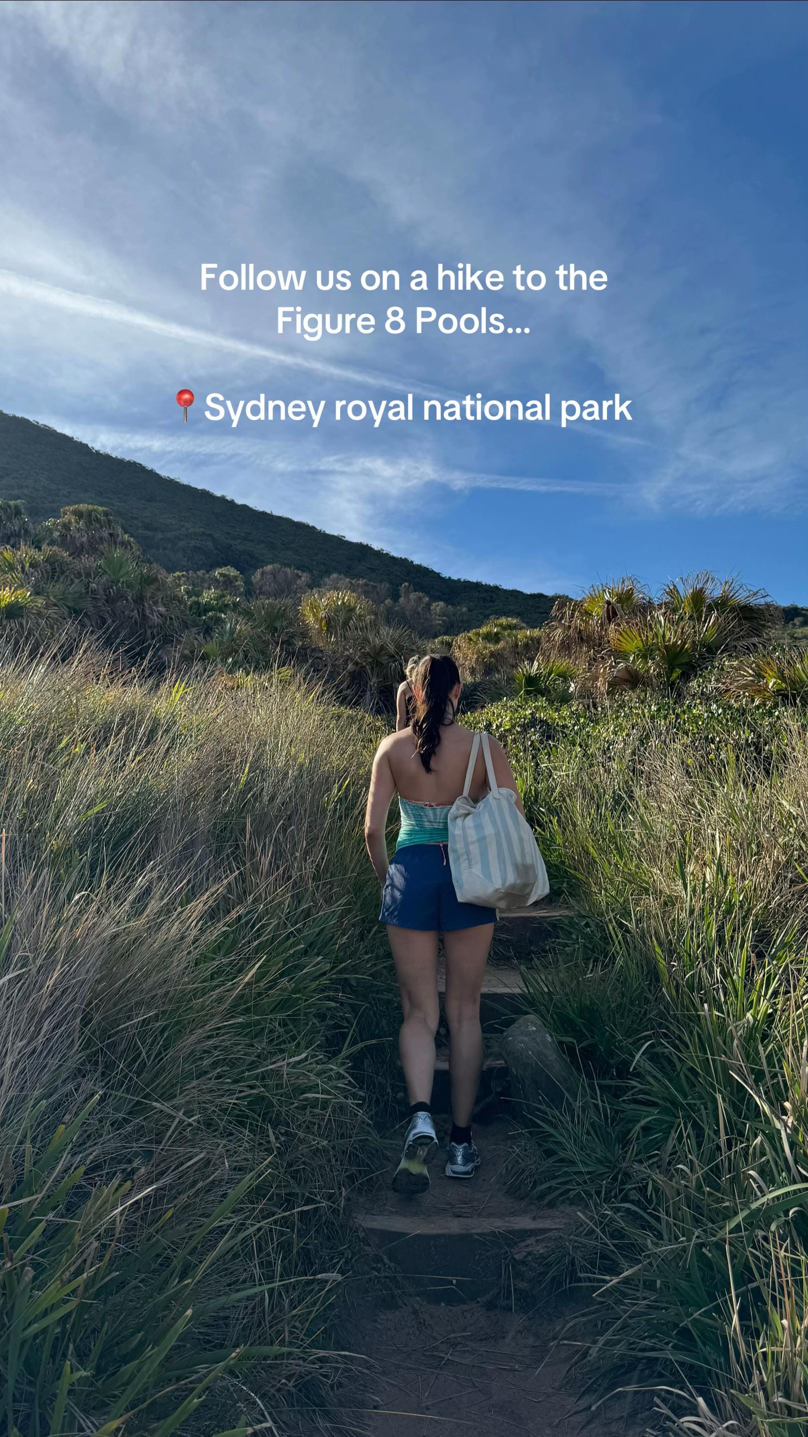 Post 2 by Hayley | welcome to my life on TikTok (video)