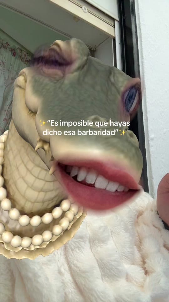 Post 8 by rocirrou on TikTok (video)
