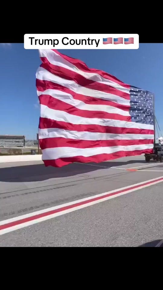 Post 10 by The Patriotic Revenant on TikTok (video)