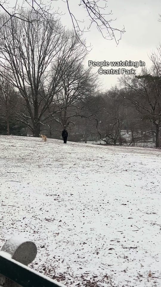 Post 1 by Syd on TikTok (video)