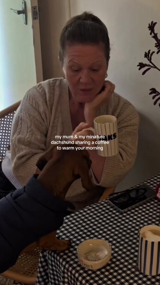 Post 3 by KITTY ⭐️ on TikTok (video)