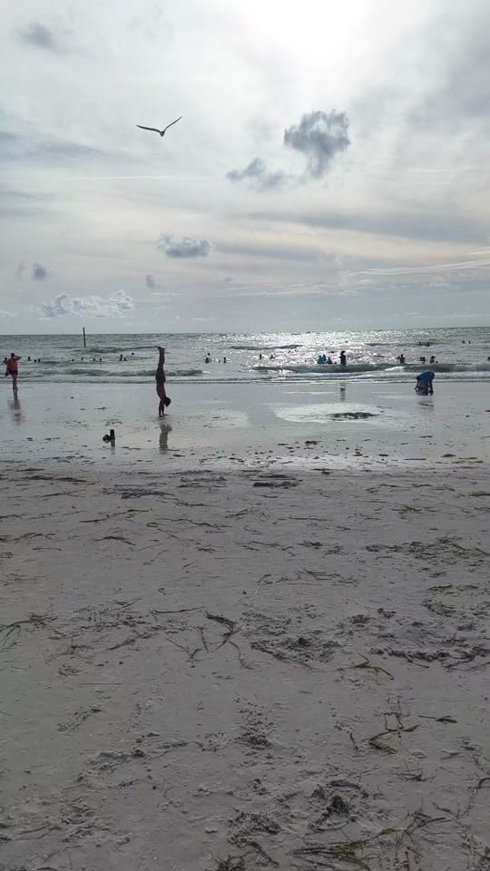 Post 7 by Brian Anderson on TikTok (video)
