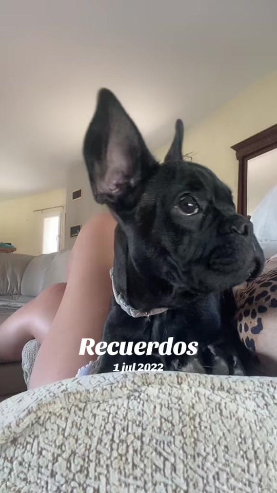 Post 10 by yaizaachv on TikTok (video)