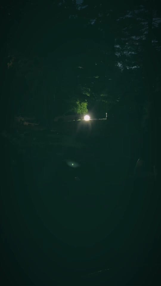 Post 4 by Ivy Moon 🦋 on TikTok (video)