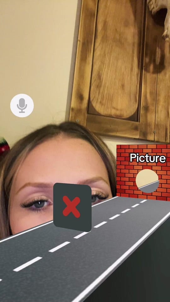 Post 6 by Brei Nicole Leingang on TikTok (video)