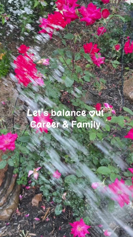 Post 4 by Tonya ❌ Daily Vibes 🦋👑🐝 on TikTok (video)