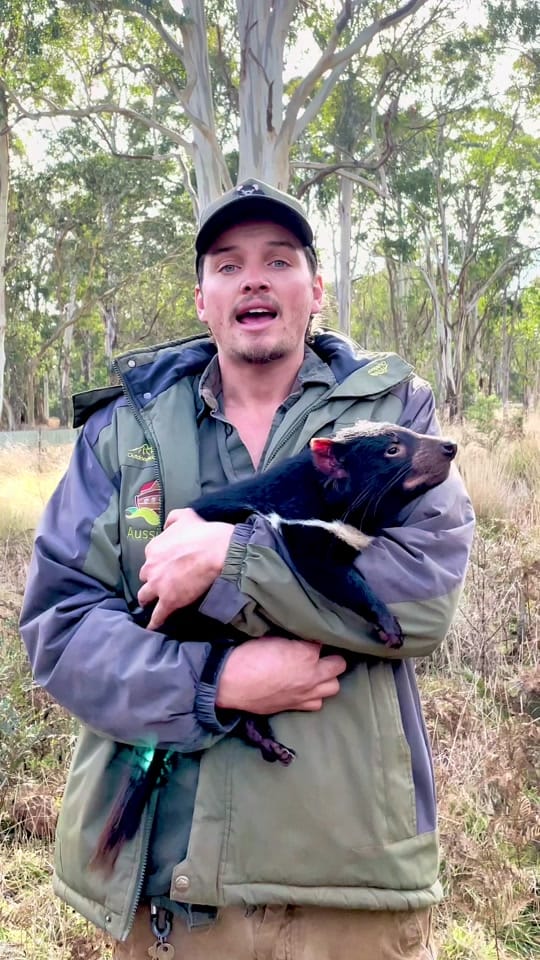 Post 1 by Aussie Ark on TikTok (video)