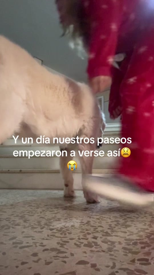 Post 3 by Milu✨ on TikTok (video)