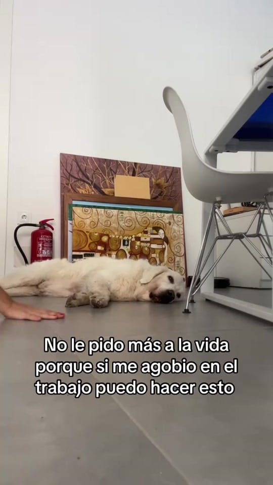 Post 10 by Milu✨ on TikTok (video)