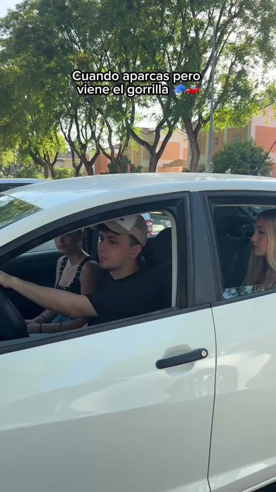 Post 7 by Guti on TikTok (video)
