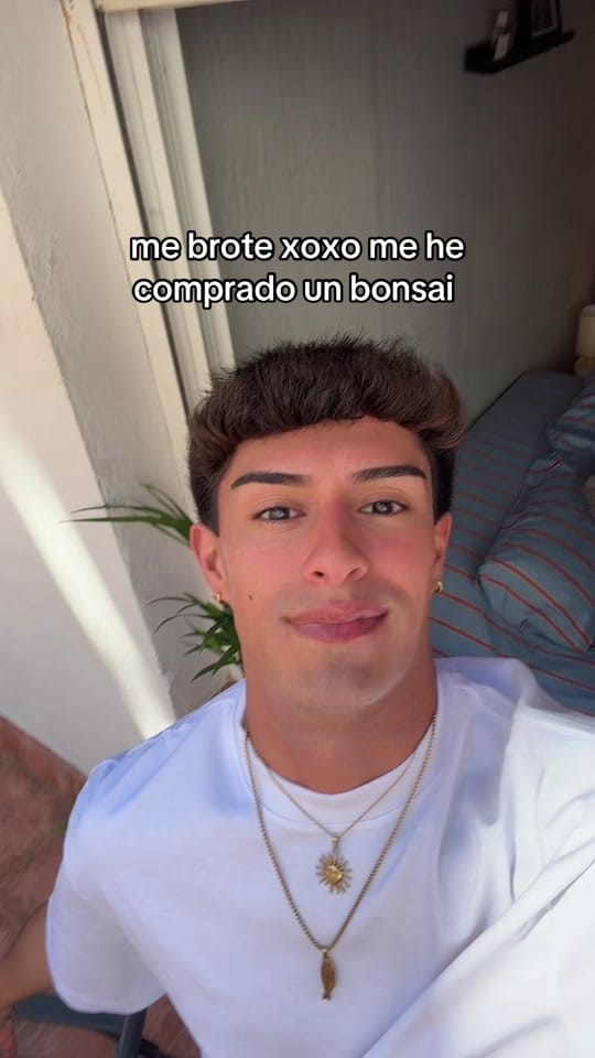 Post 10 by carloss :(: on TikTok (video)