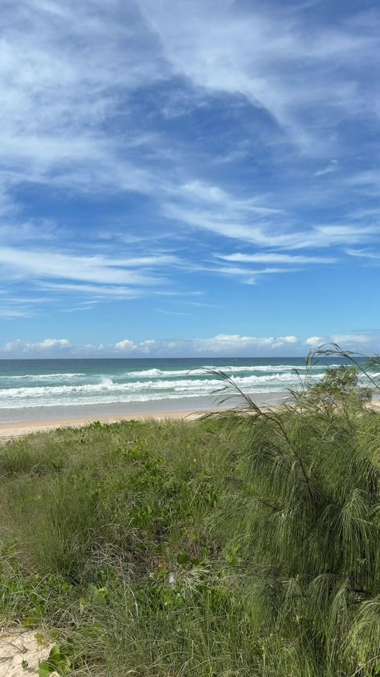 Post 3 by Lauren on TikTok (video)