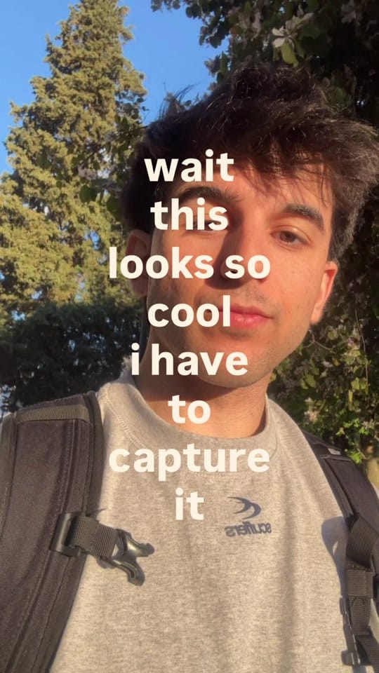 Post 5 by alvacerod on TikTok (video)