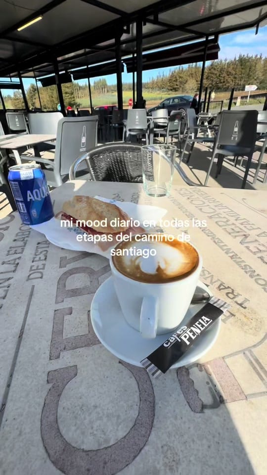 Post 2 by msanchez161🐍 on TikTok (video)