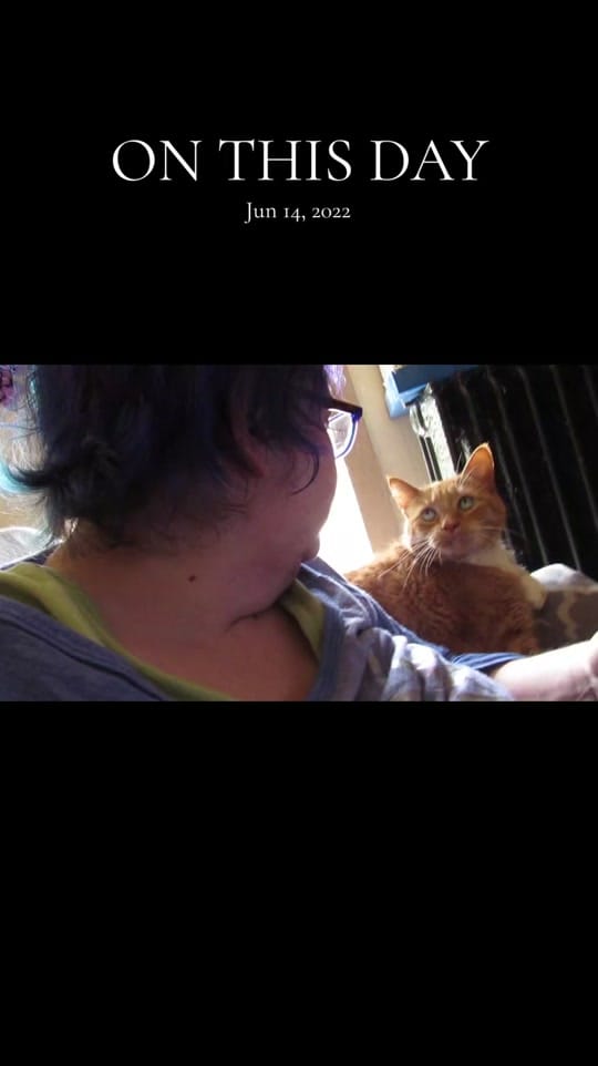 Post 4 by "Superstar"_Sparkles ⭐✨⭐✨⭐ on TikTok (video)