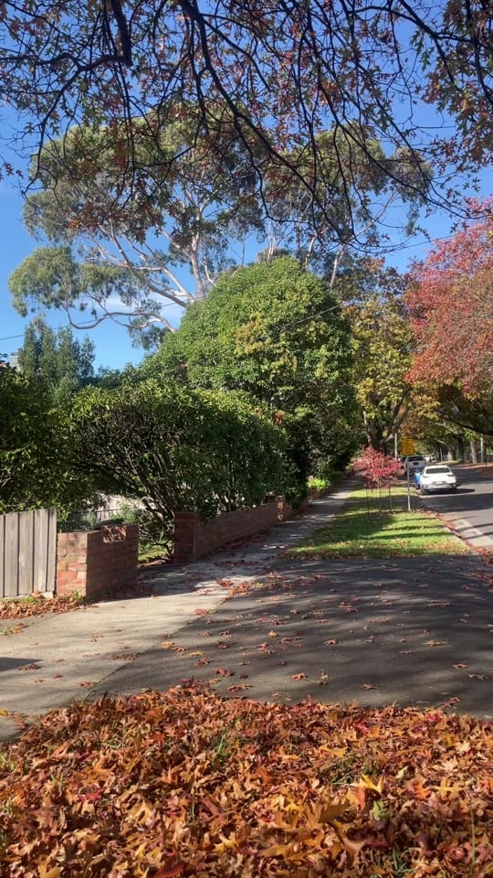 Post 7 by Kirra Smark on TikTok (video)