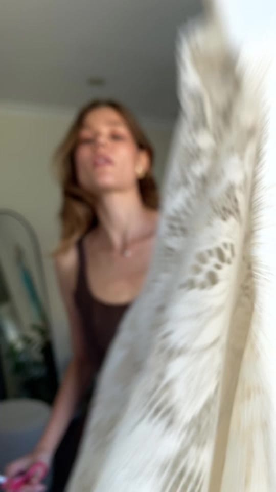 Post 2 by Shannon Ashley on TikTok (video)