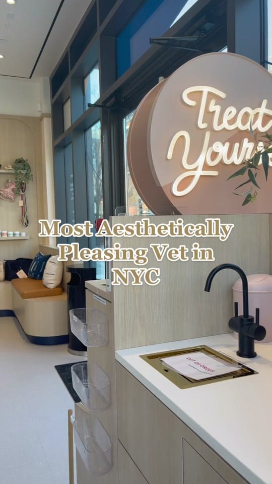 Post 3 by Emmie Lee in NYC on TikTok (video)
