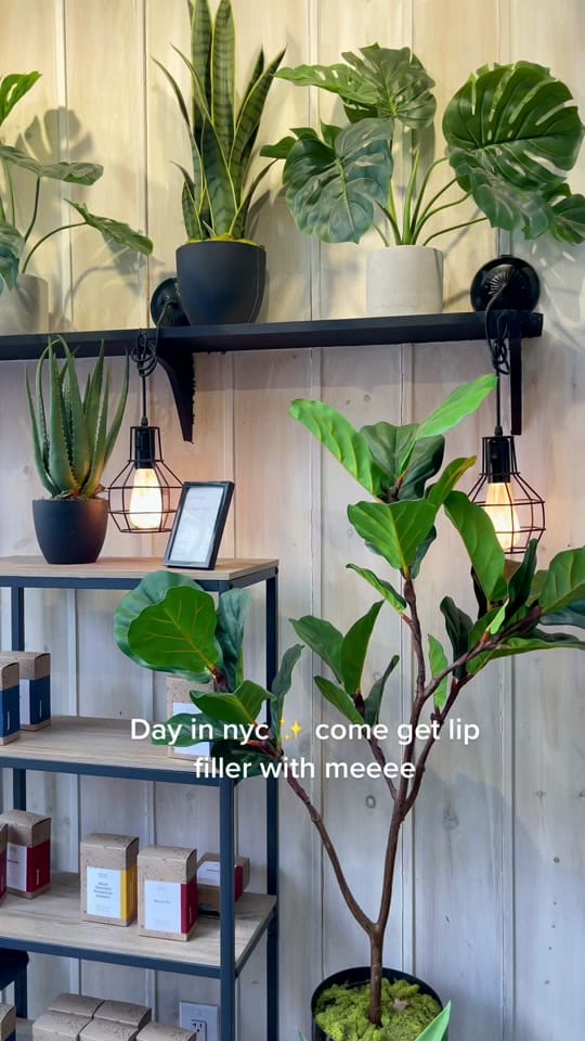 Post 2 by Emmie Lee in NYC on TikTok (video)