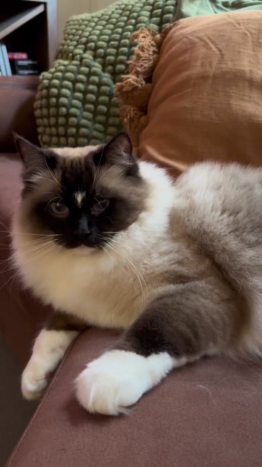 Post 3 by jemma ✨ ugc creator on TikTok (video)