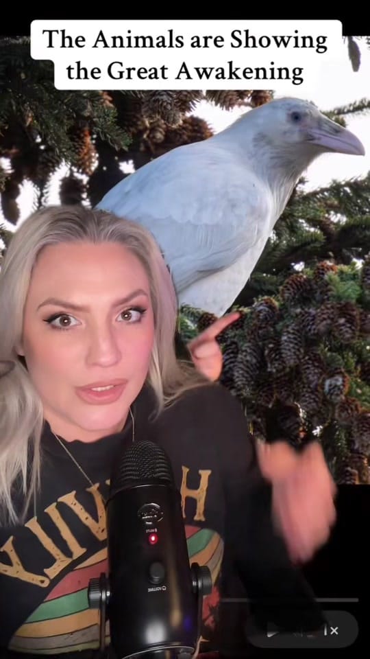 Post 9 by 🌛Stefanie Monaco🌜🍉 on TikTok (video)