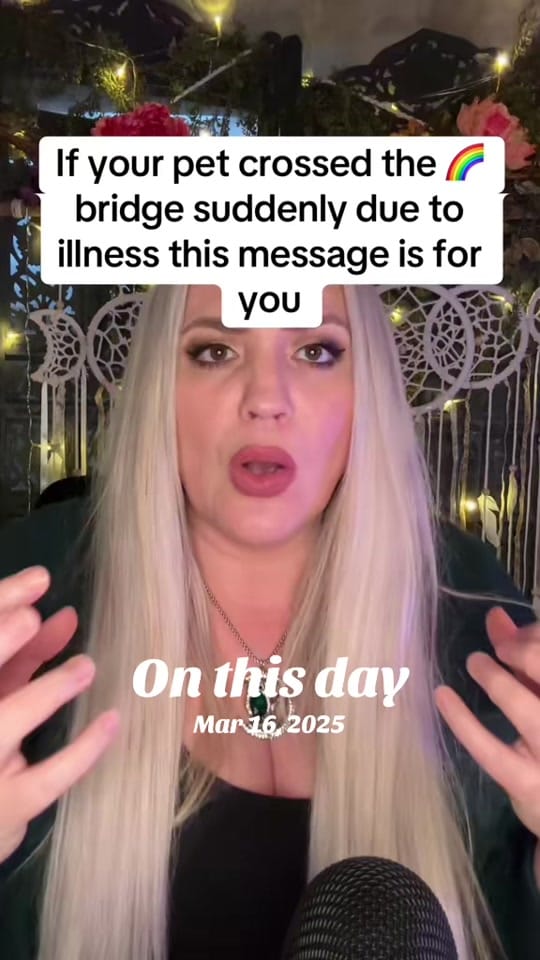 Post 5 by 🌛Stefanie Monaco🌜🍉 on TikTok (video)