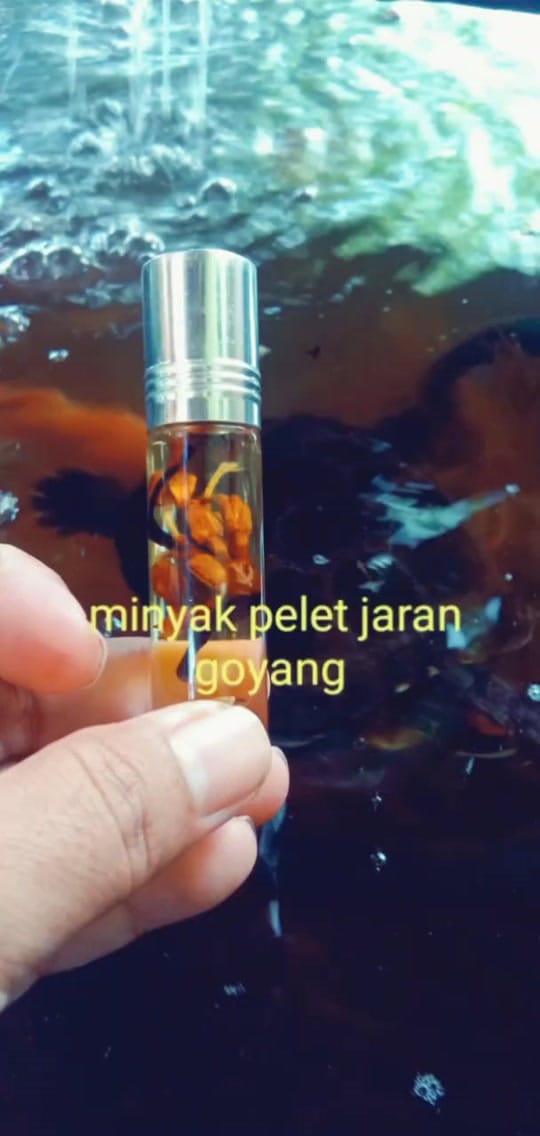 Post 8 by @kianom Sumedang on TikTok (video)