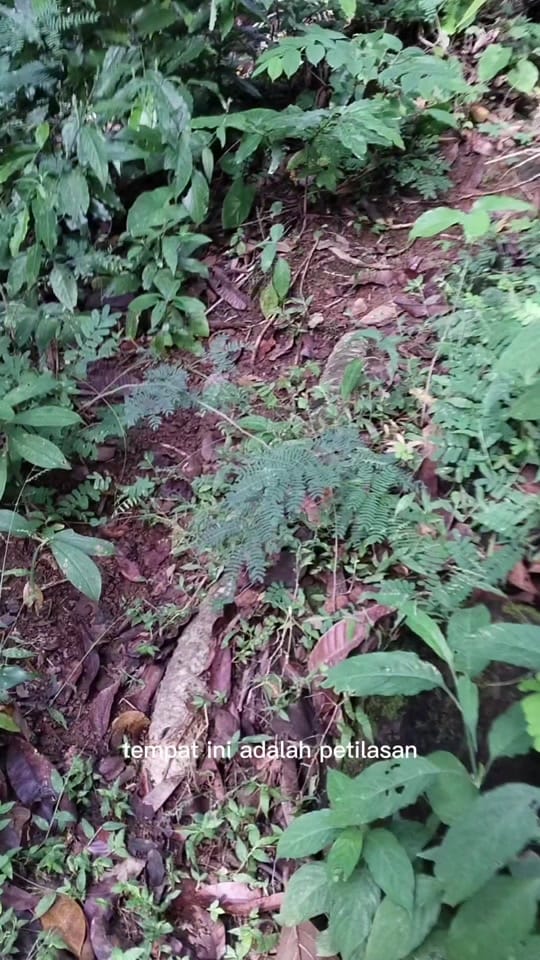 Post 7 by @kianom Sumedang on TikTok (video)